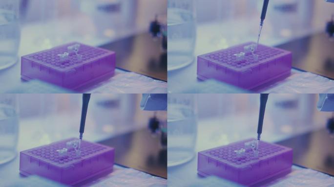 基因分子实验室：分离病毒变种的DNA研究