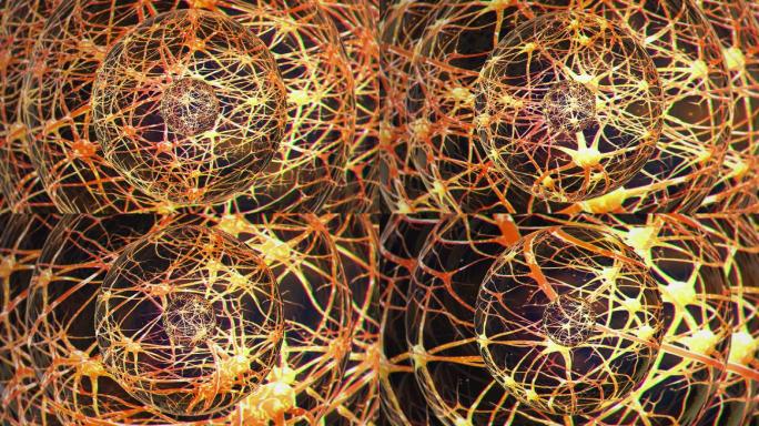 神经元动画神经网络神经细胞