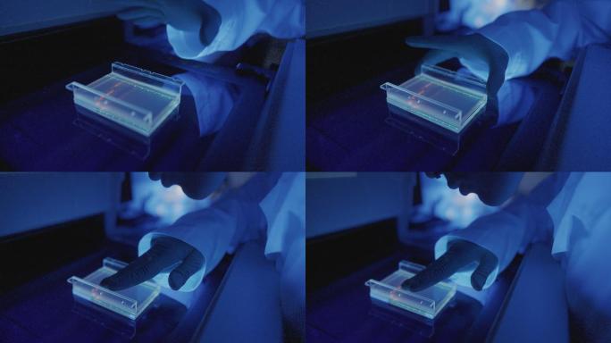 DNA基因实验室研究人员：病毒检测试验
