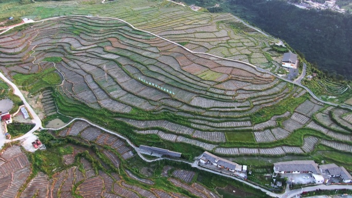 梯田贵州中国西南部无人机航拍4K