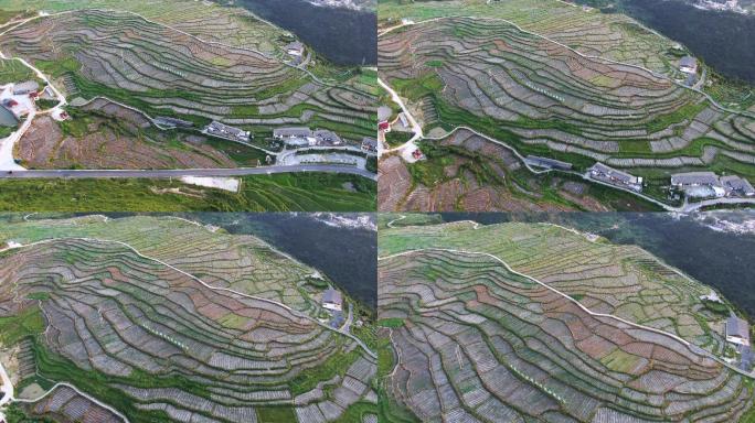 梯田贵州中国西南部无人机航拍4K