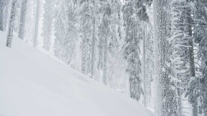 冰雪覆盖的山林中有风的冬季暴风雪