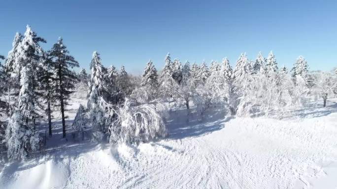 哈尔滨 五常市 凤凰山