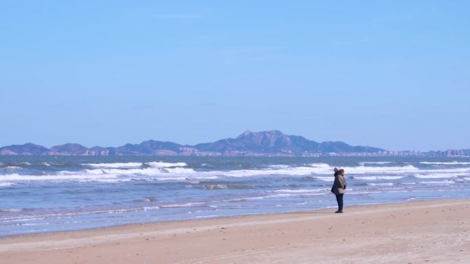 烟台海边海鸥风景旅拍城市