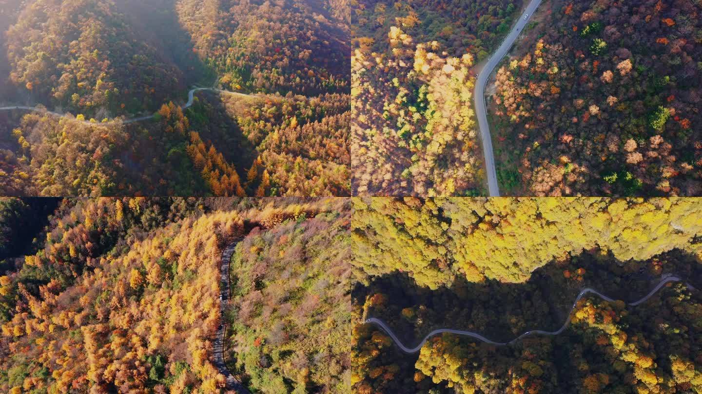 秋天红叶枫叶蜿蜒盘山公路4K航拍