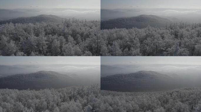 冬季森林航拍