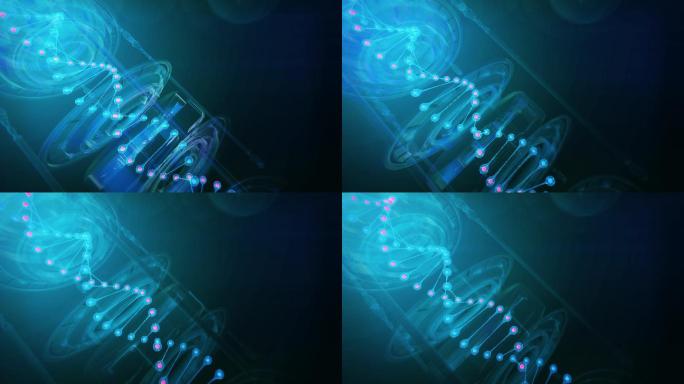 DNA结构医学动画染色体细胞
