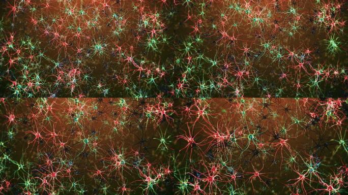 神经元细胞药效药理治疗
