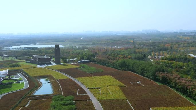 秋天航拍中国江苏宿迁三台山公园