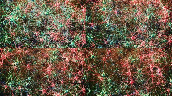 神经元细胞特效视频