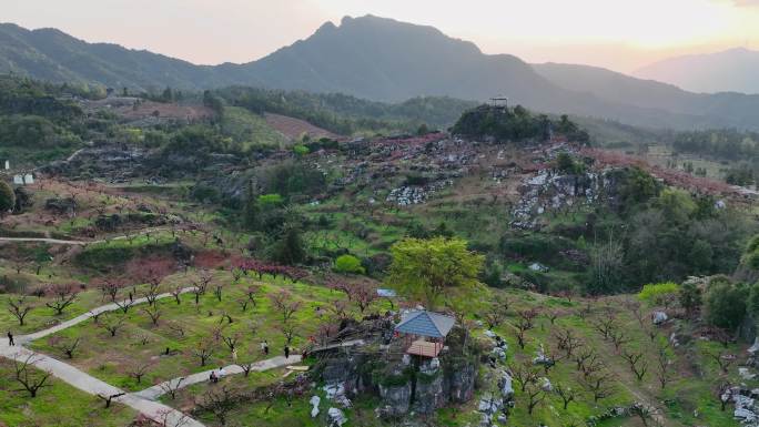 [4K]航拍广东河源连平鹰嘴桃基地日落