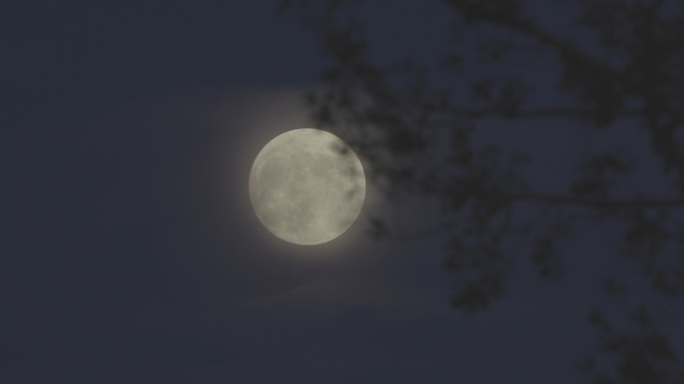 4K多角度夜景满月月亮延时