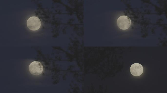 月亮 圆月 满月 十五的月亮
