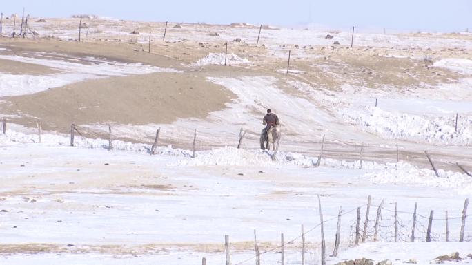 草原牧马人冬季踏雪骑马寻找马群