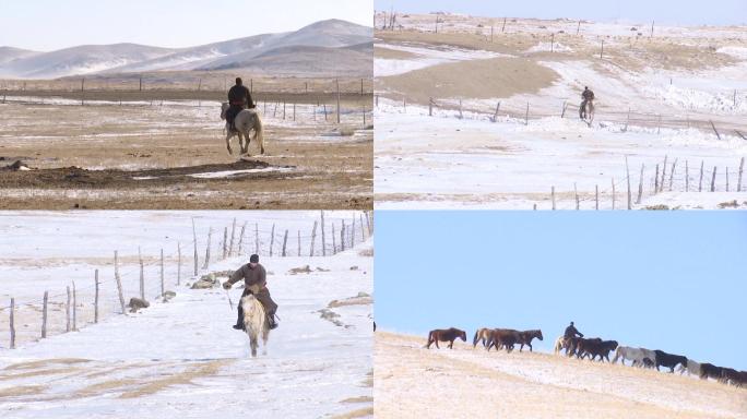 草原牧马人冬季踏雪骑马寻找马群