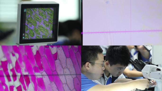 4K学生生物课显微镜细胞植物生物