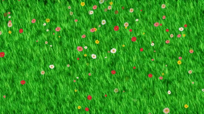 唯美花朵飘落草地背景1-循环