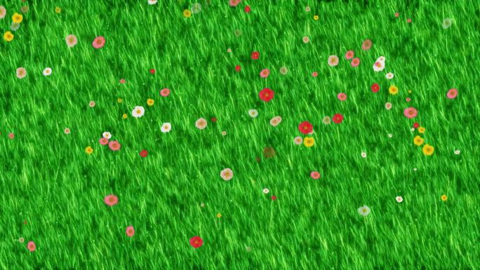 唯美花朵飘落草地背景1-循环 2