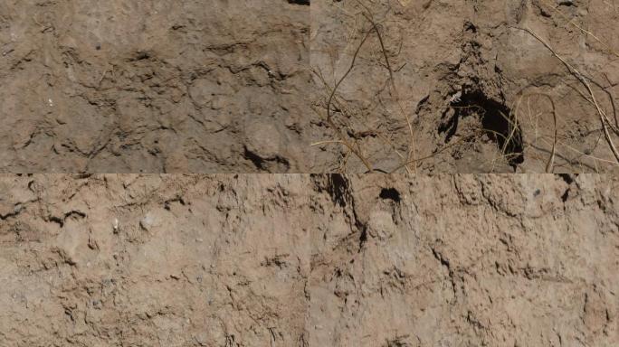 农村土墙生活环境荒凉