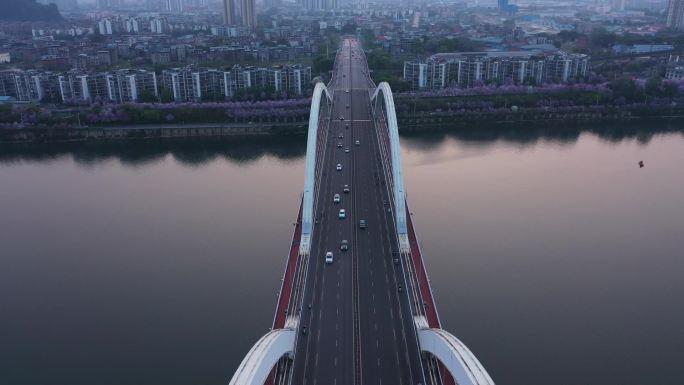 广雅大桥