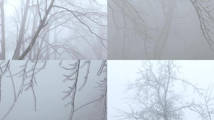 冰天雪地树木结冰玉树琼枝树枝上的冰凌