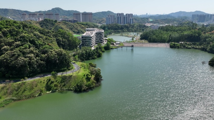 广州黄埔区水声水库+免费露营湿地公园