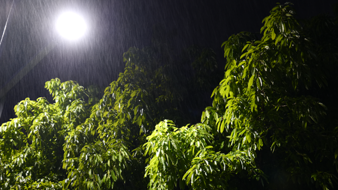 雨中行驶的汽车