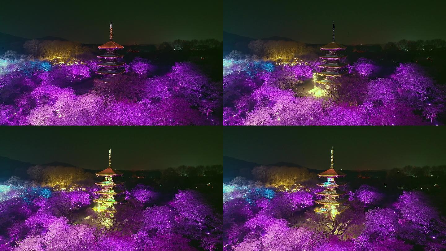 樱花园夜景