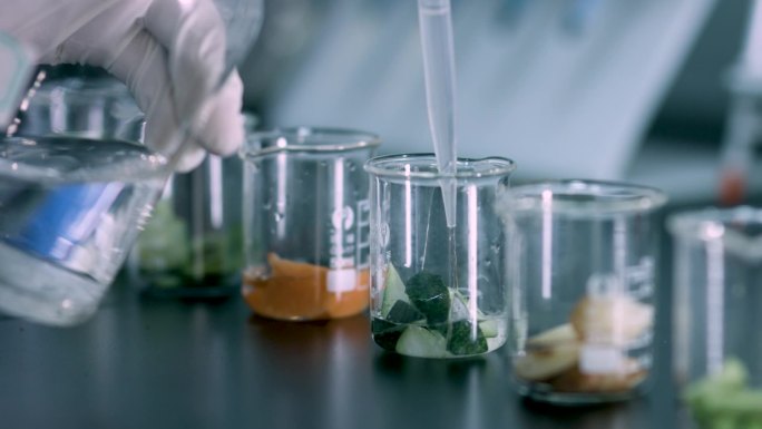 实验室农残检测 蔬菜农药检测 食品安全