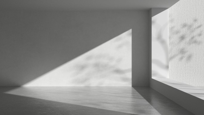 3D渲染抽象落在墙面和地板上的阳光和树影