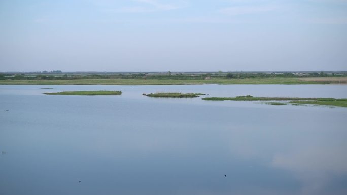 黑龙江 双鸭山 千鸟湖