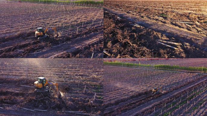 挖葡萄 毁坏葡萄 毁坏庄稼 产业结构调整