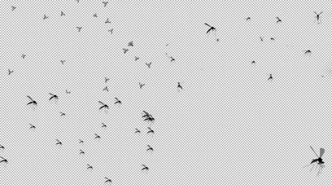 4K虫子蚊子入侵飞过后死掉被消灭灭虫驱蚊
