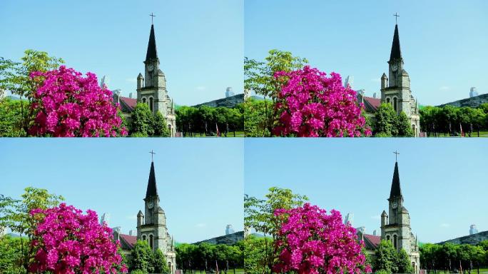 重庆江北嘴城堡教堂美人梅花朵绽放