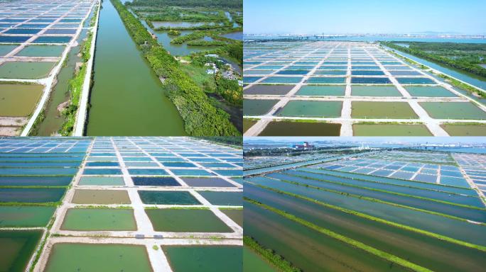 广州南沙万顷沙水产湿地航拍