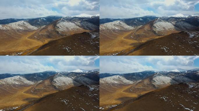 雪山牧场视频青藏高原冬季金色草地延绵雪山