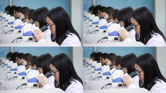 医学院学生在用显微镜学习