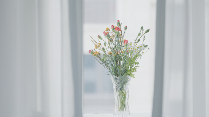 居家客厅窗前花瓶里鲜花康乃馨