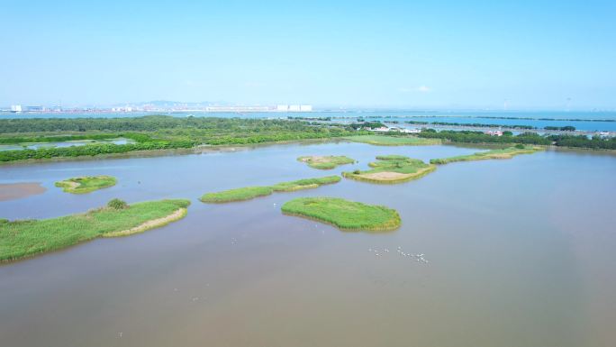 广州南沙湿地公园景区航拍