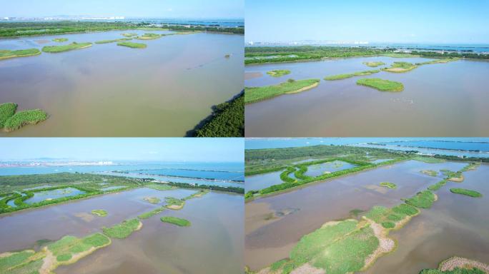 广州南沙湿地公园景区航拍