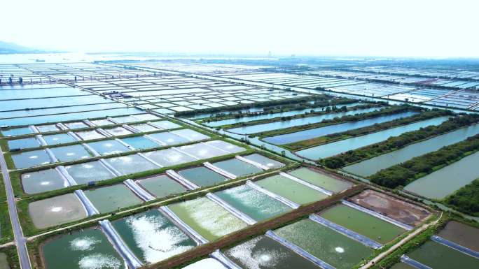 广州南沙万顷沙水田湿地航拍