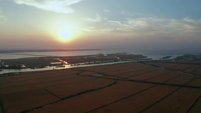 高邮湖高邮花海落日