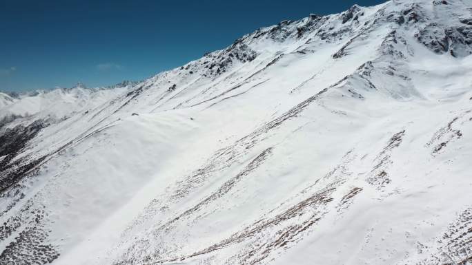 雪山视频青藏高原雪山近景