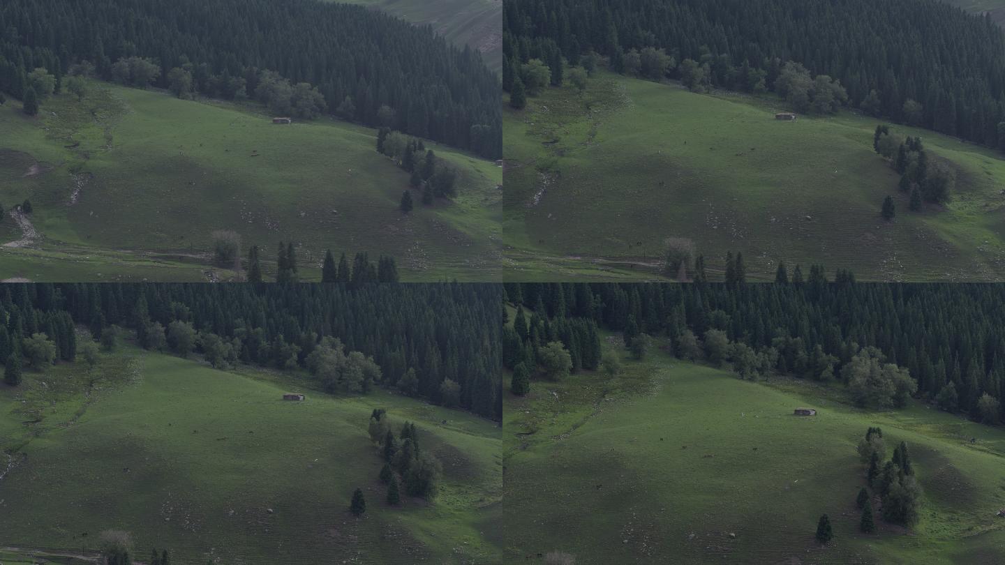 天山风景