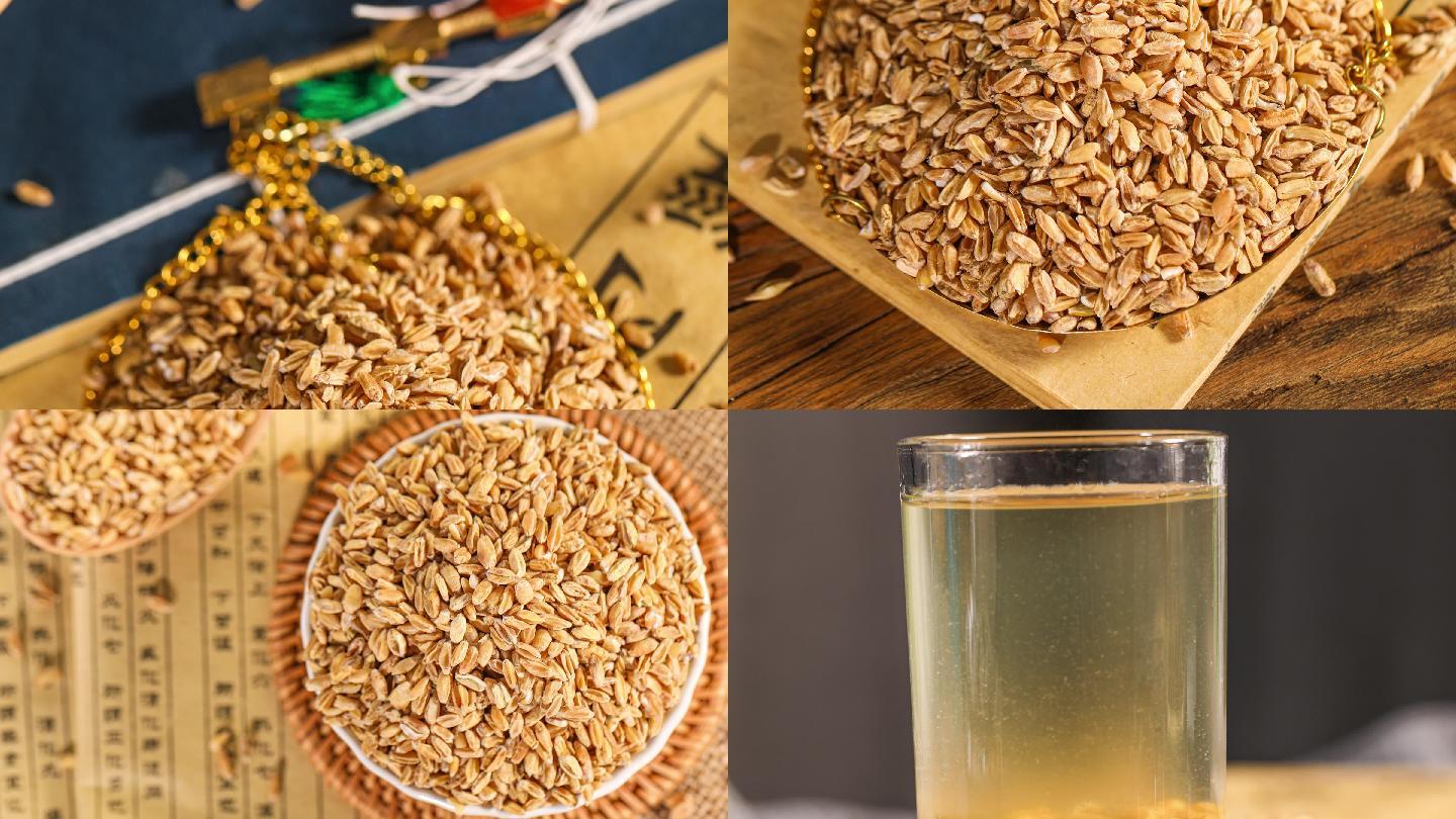 浮小麦 Fu Xiao Mai / Blighted Wheat / Triticum Aestivum L. - TCM Herbs USA 颐安行