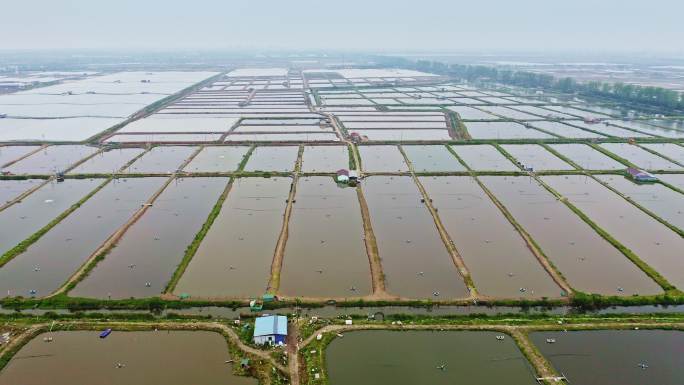 大型鱼塘虾塘基地