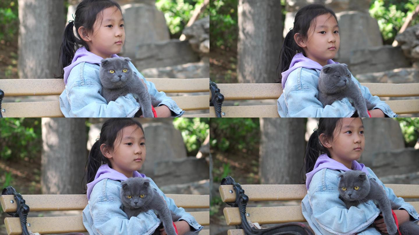 坐在公园长椅上抱着宠物猫的女孩