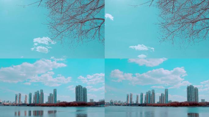 蓝天映衬桃树与城市飞云