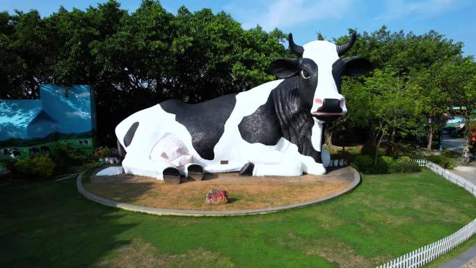 深圳光明农场大观园亚洲最大奶牛航拍