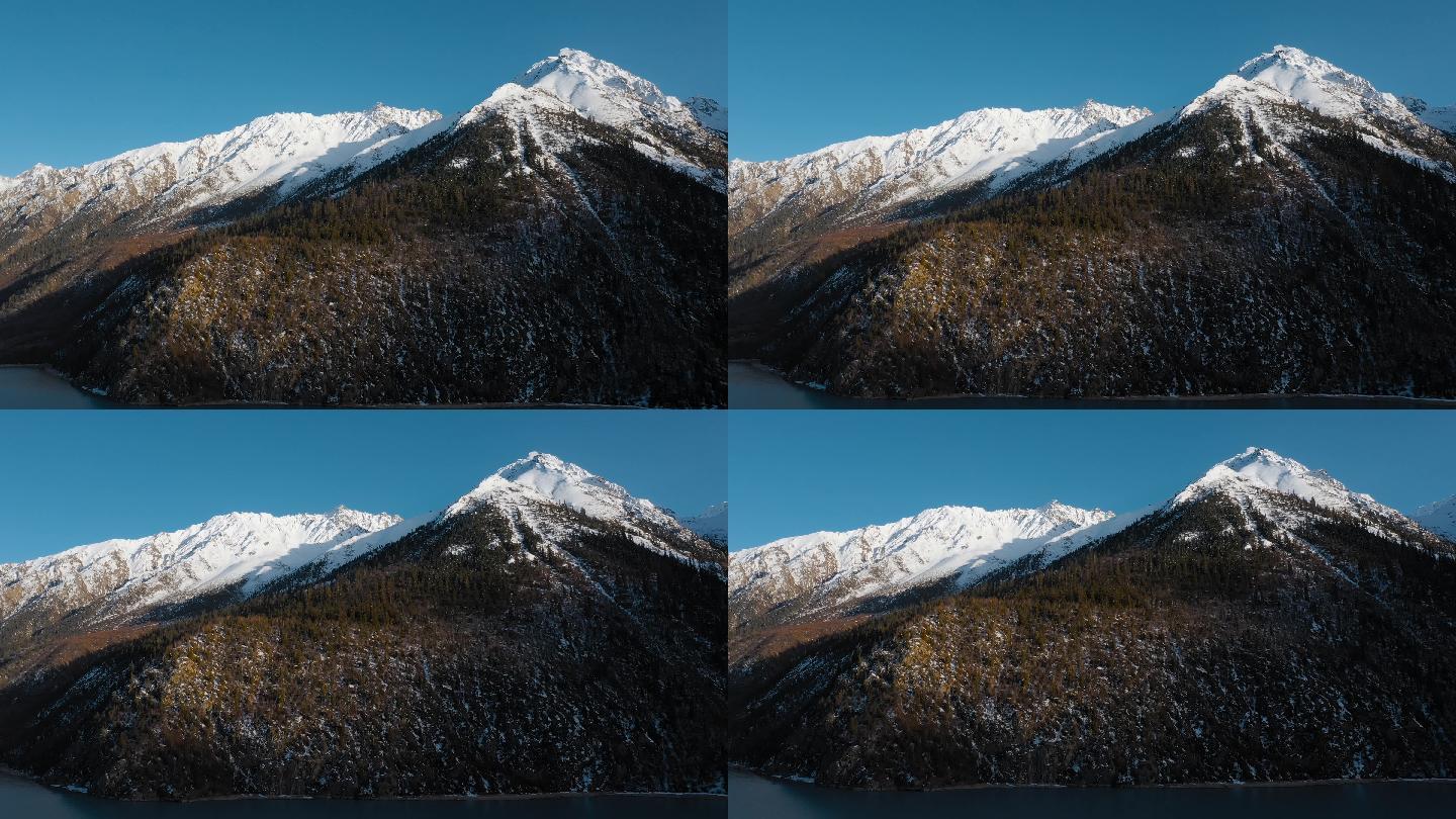 雪山视频青藏高原蓝天下雪山森林